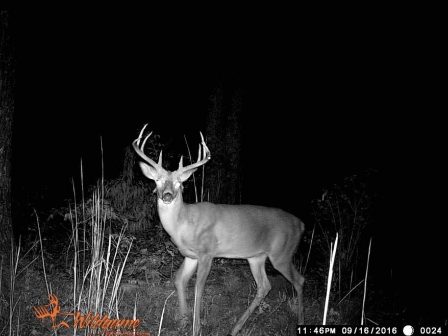 13001 Highway 192, Somerset, KY 42501 - photo 1