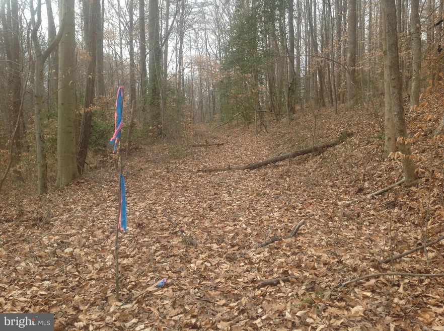 0 Norman Rd unit 1000094901, Stafford, VA 22554 - photo 1