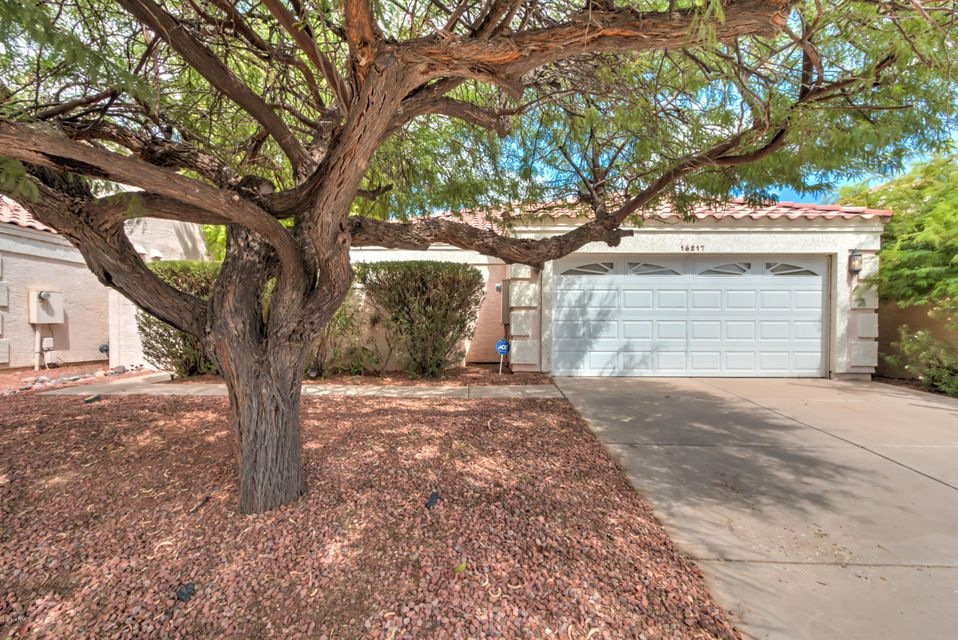 16217 S 34th Way -2