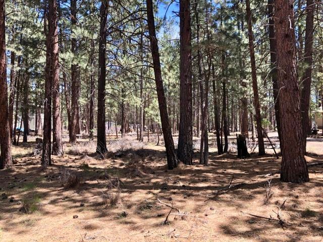 Nicely wooded lot