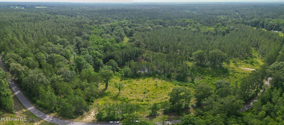 212 Tower Rd, Wiggins, MS 39577 - photo 1