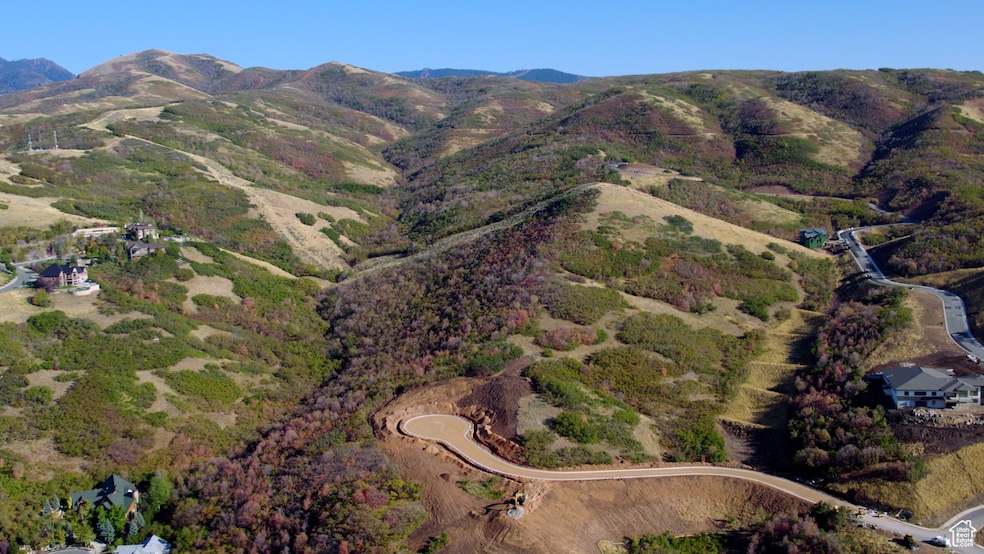 Bird's eye view with a mountain view.  Live at the end of the circle.