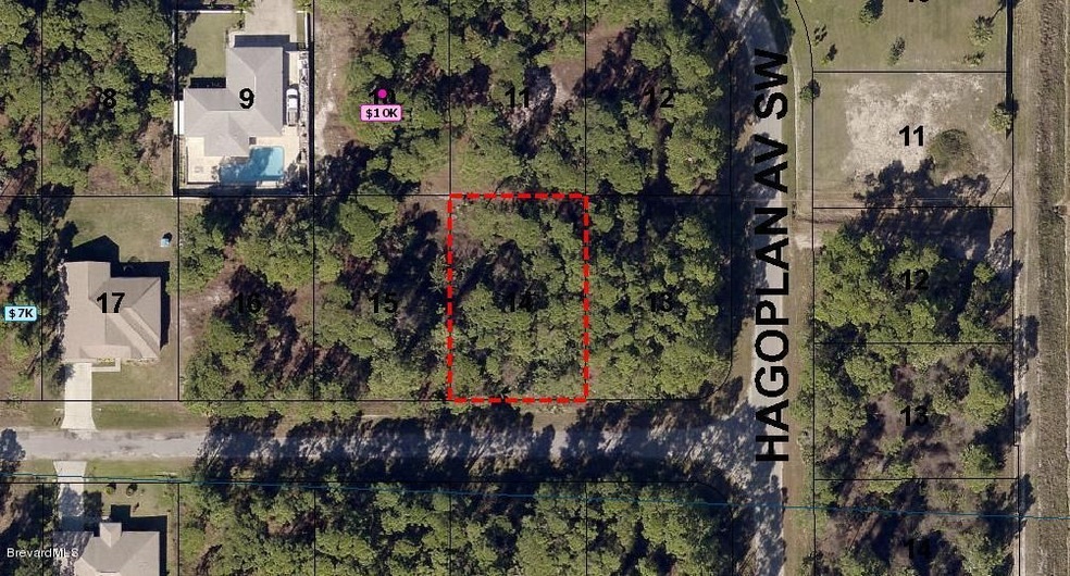 24173877_BrevardCounty