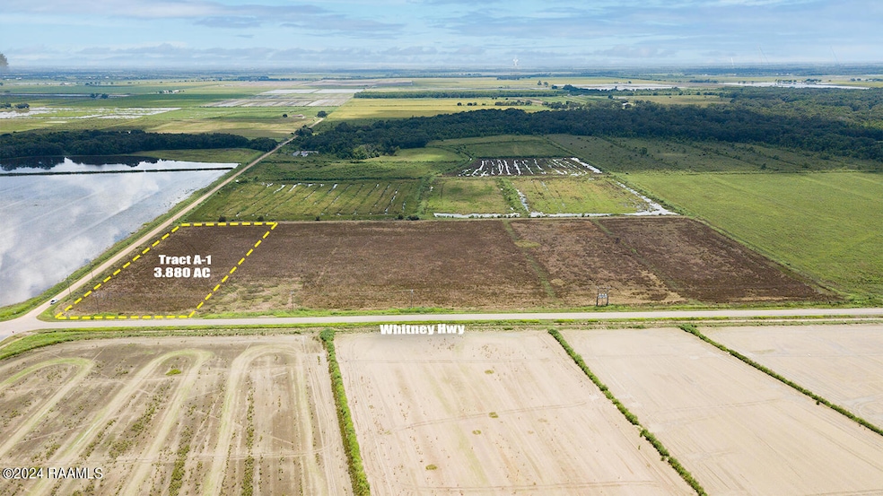 TBD Whitney Aerials A-1 (1)