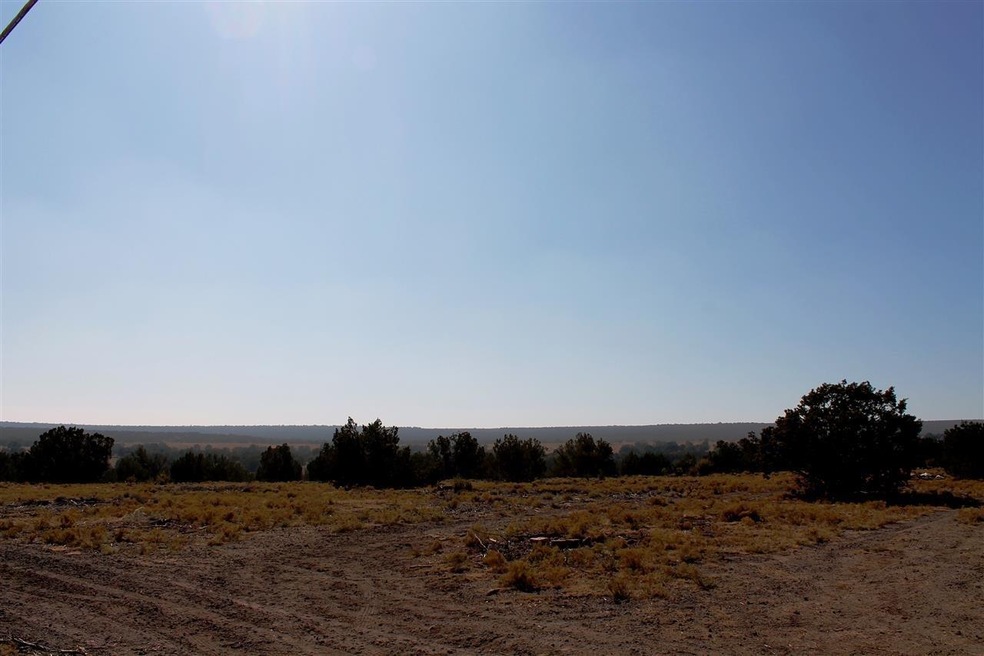 1731 Silver Lake Blvd, Show Low, AZ 85901 - photo 1