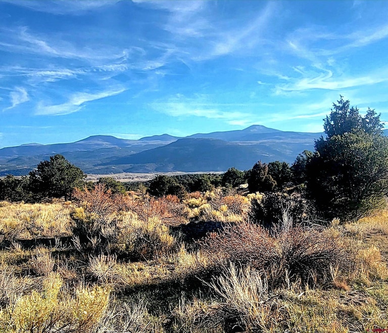 1094 & 1343 Valley View Rd, South Fork, CO 81154 - photo 1