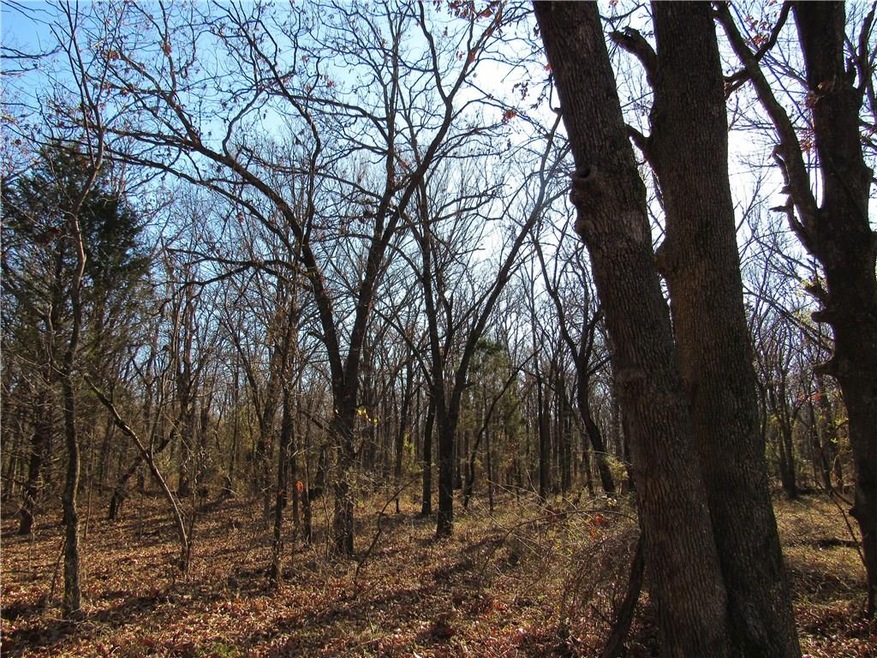 TBD LOT 4 Highway 43, Siloam Springs, AR 72761 - photo 1