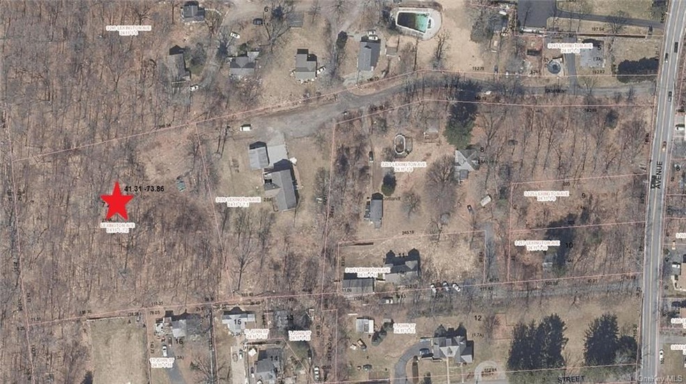 3239 Lexington Ave, Mohegan Lake, NY 10547 - photo 1