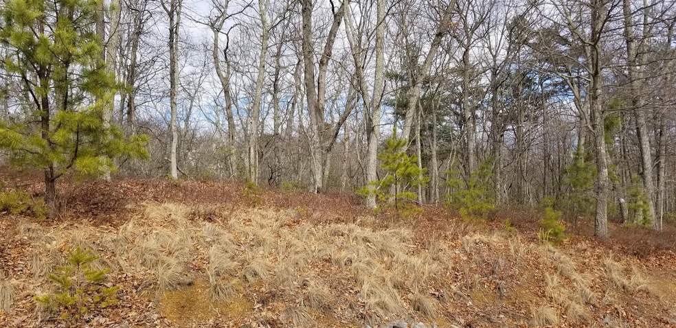 Lot 34 on left