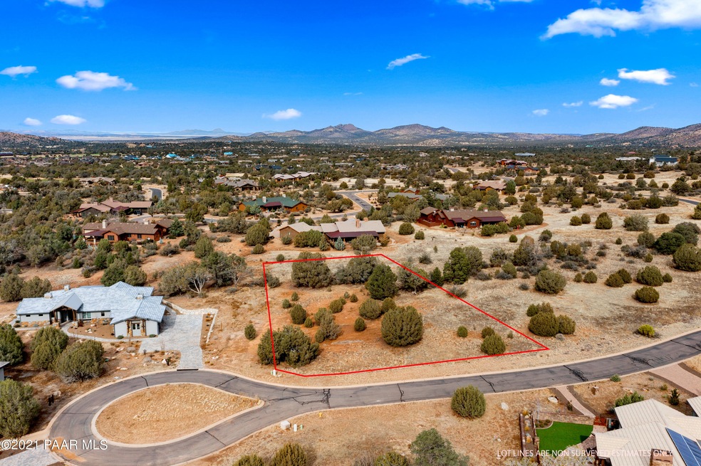 001_Aerial - View from Street