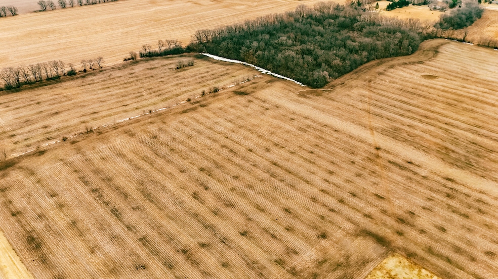 DJI_20250318093425_0103_D