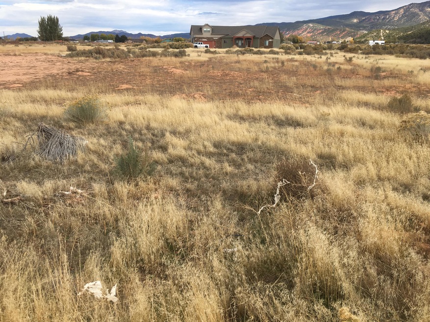 maple springs lot 16