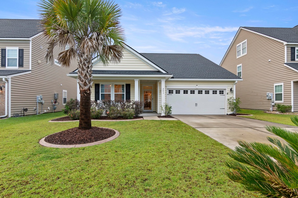 203 Sugarberry Ln, Moncks Corner, SC 29461 - photo 1