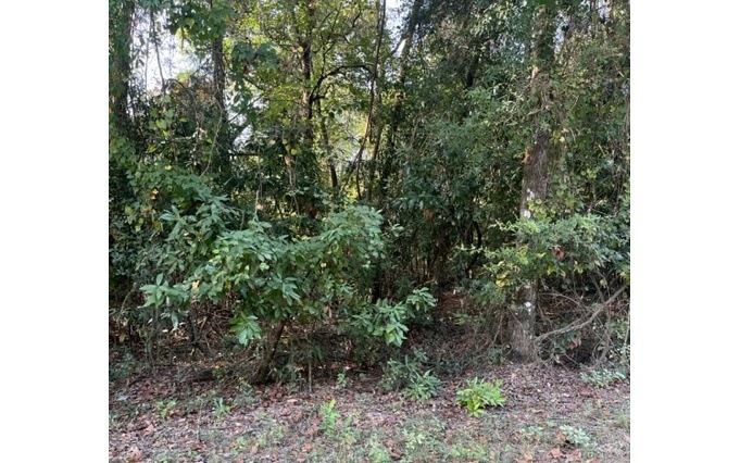 0 SW Iowa Dr unit 121111, Fort White, FL 32038 - photo 1