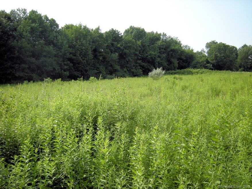 395 North St, Plymouth, CT 06782 - photo 1