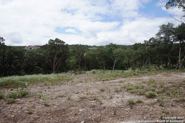15831 Revello Dr, Helotes, TX 78023 - photo 1