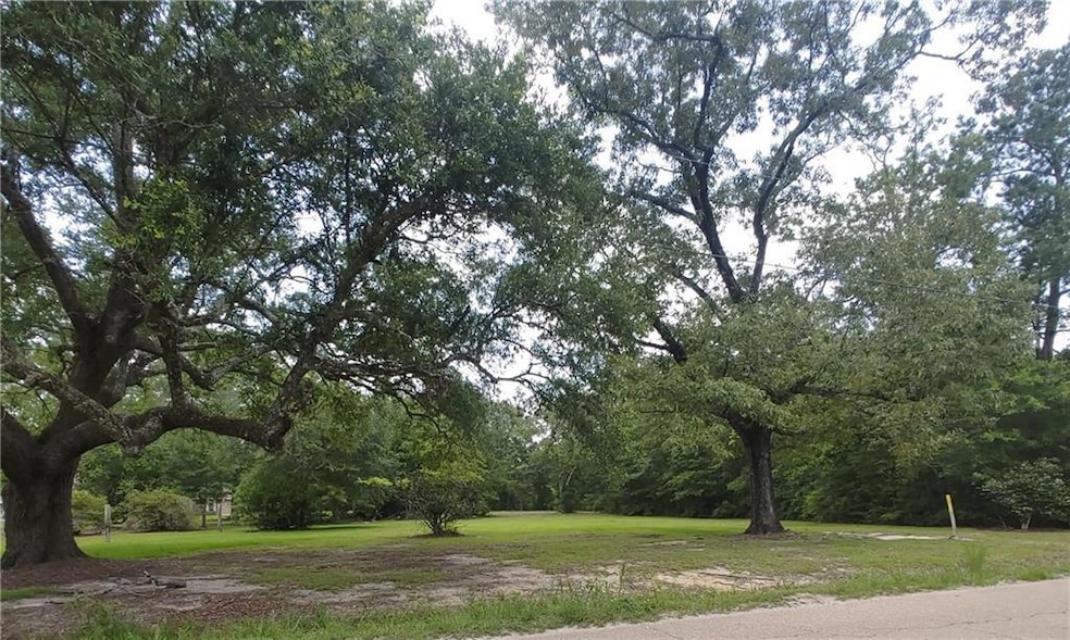 0 Highway 41 Spur Hwy, Pearl River, LA 70452 - photo 1