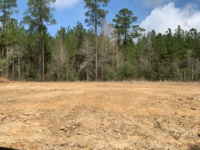 Lot 64 Hathern Dr, Pineville, LA 71360 - photo 1