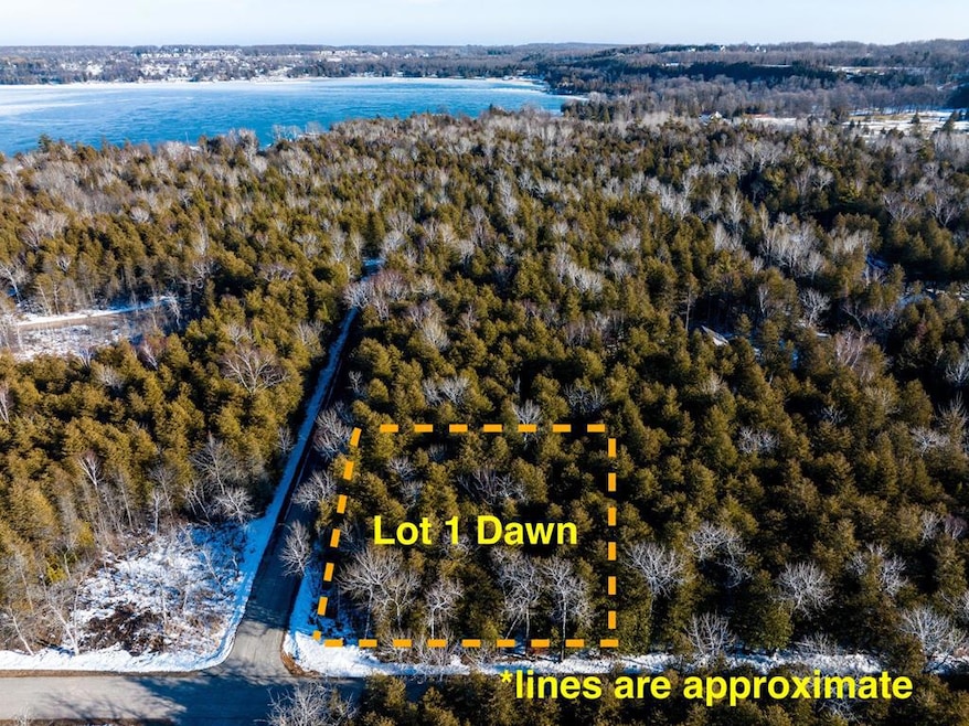 Lot 1 Dawn Ln, Egg Harbor, WI 54209 - photo 1