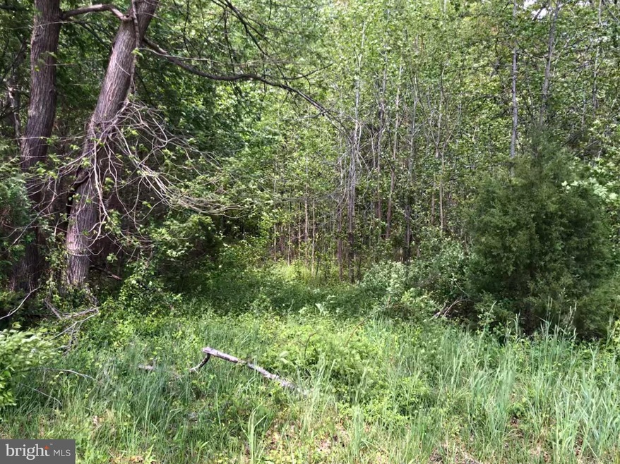 882 Mount Zion Marlboro Rd, Lothian, MD 20711 - photo 1