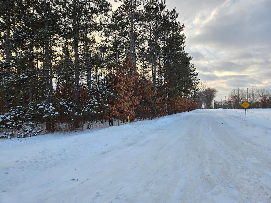 36XXX Forest Blvd, North Branch, MN 55056 - photo 1