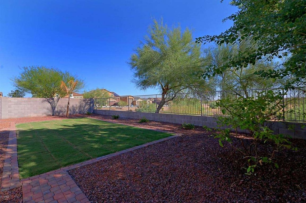 Backyard 3
