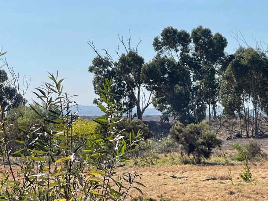 Sold $150,000 • Co-Listing Agent