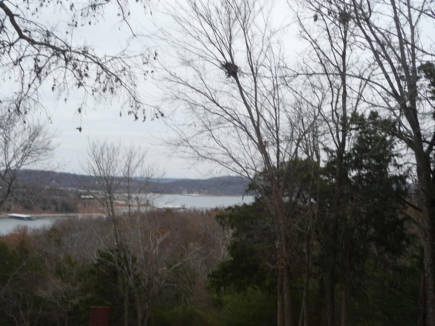 Lot 19 N Wilderness Trail, Kimberling City, MO 65686 - photo 1