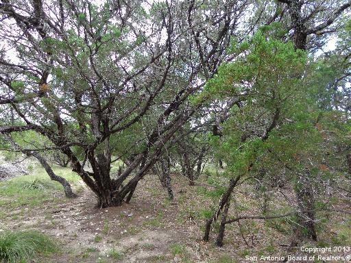 27212 Bent Trail, Fair Oaks, TX 78006 - photo 1