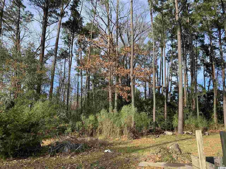 1410 Shavis Ct unit Canal Sec; Lt 8 Of L, Myrtle Beach, SC 29577 - photo 1