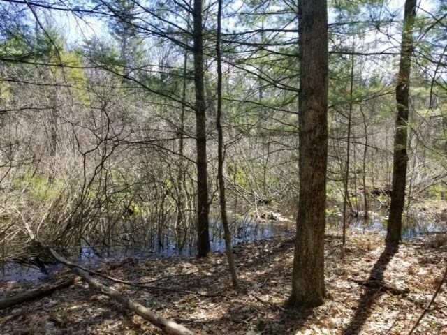 VL M-37 (Woodbridge), Bitely, MI 49309 - photo 1