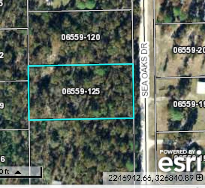 0 Sea Oaks Dr unit 294380, Perry, FL 32348 - photo 1