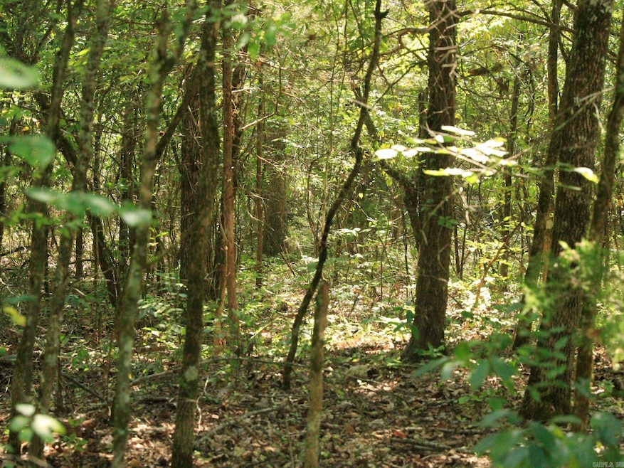 210 Bo Peep Cir, Horseshoe Bend, AR 72512 - photo 1