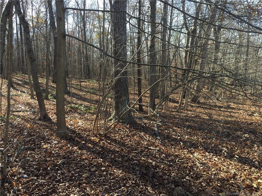 0 Tolland Turnpike unit 170032662, Willington, CT 06279 - photo 1