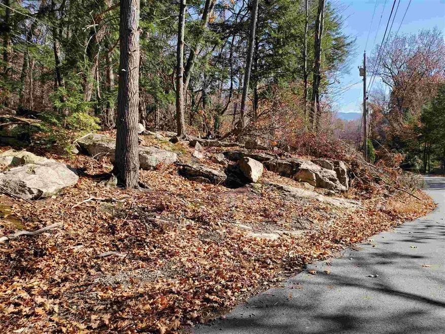 47 Alpstrausse, Intervale, NH 03845 - photo 1