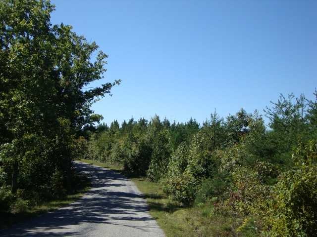 0 Slink Shoals Rd unit 3257290, Linden, TN 37096 - photo 1