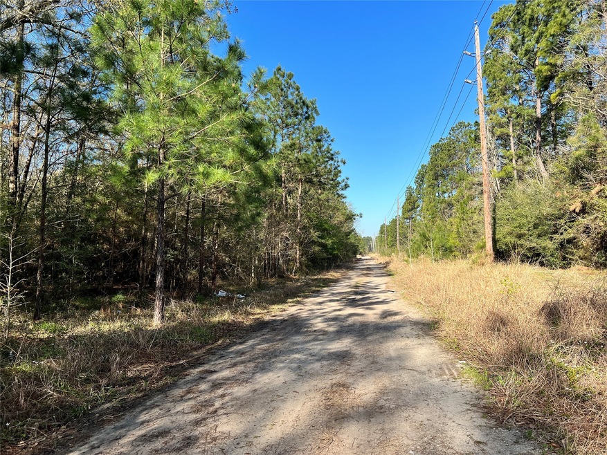 5000 sq ft. Selling the next lot (another 5000 sqf