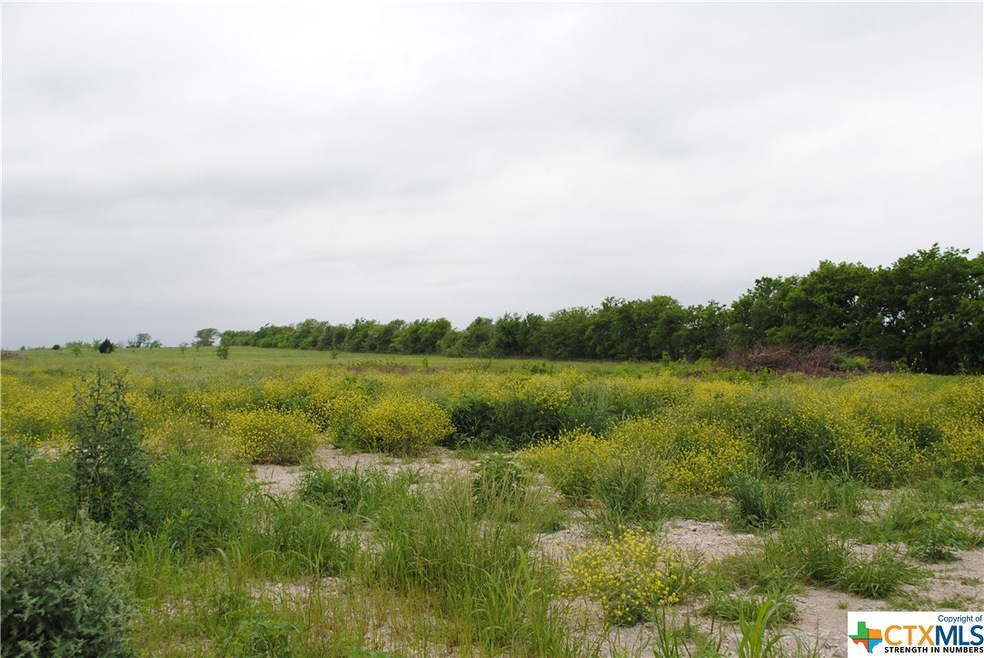 7548 Old Hwy 81, Temple, TX 76501 - photo 1