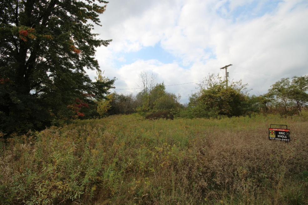 Parcel 1 16th St, Dorr, MI 49323 - photo 1