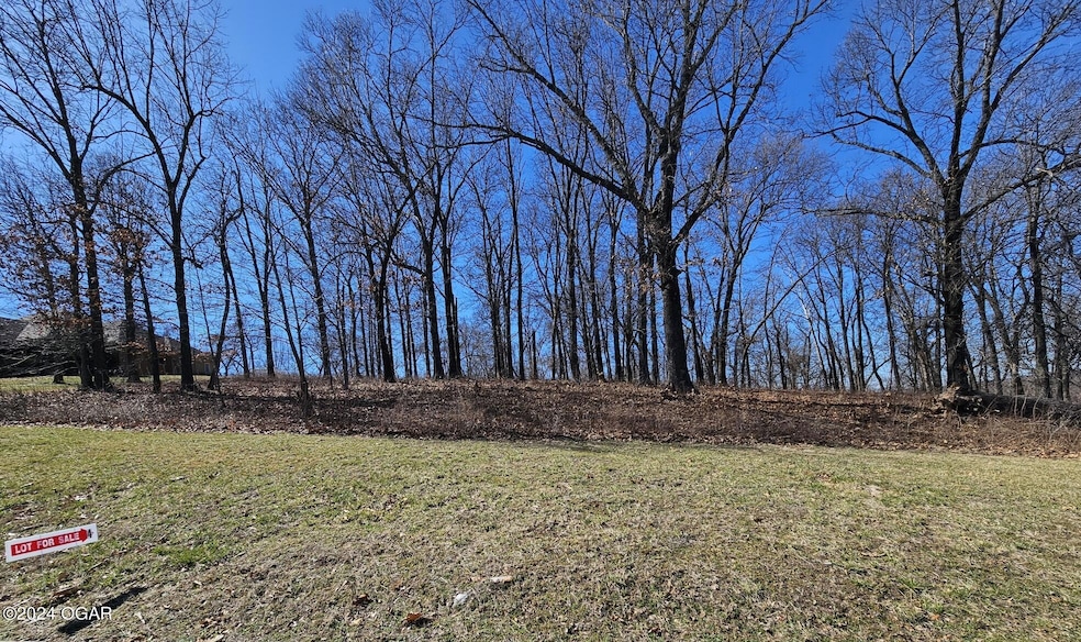 2744 Briaroaks Ln unit 4, Joplin, MO 64804 - photo 1