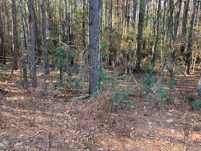 19.300 State Highway 21 W, Nacogdoches, TX 75961 - photo 1