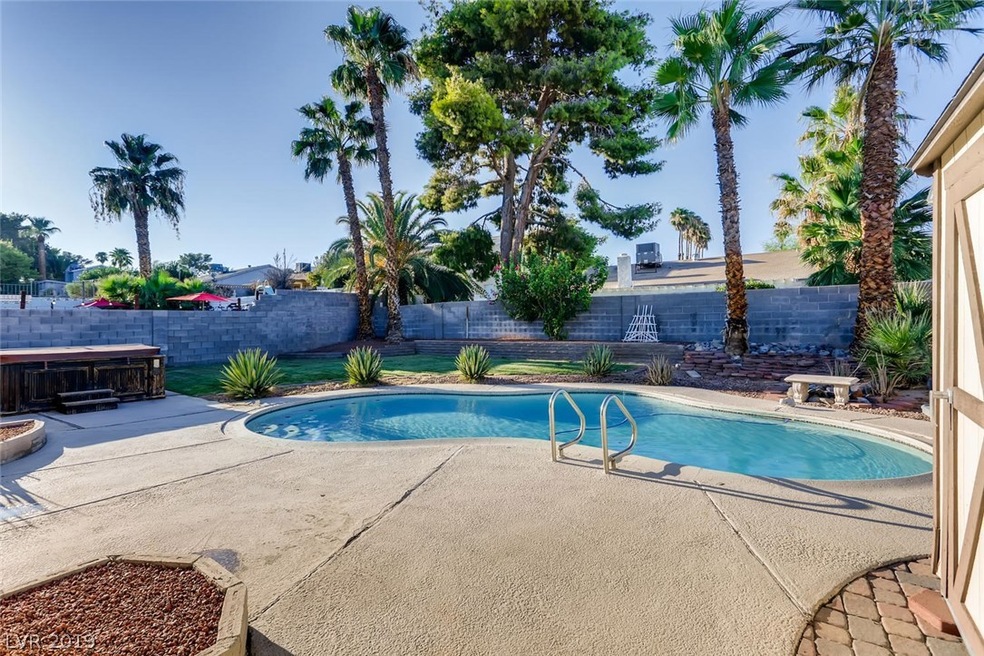 Luscious back Yard