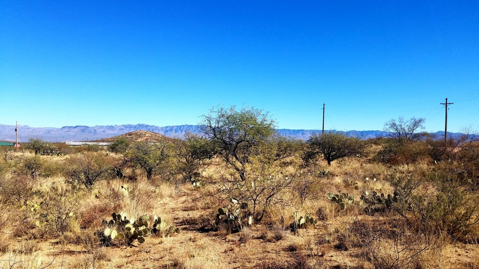 VIEW OF THE GALIURO MTNS