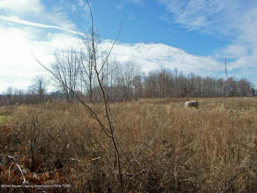 Hinman Vacant Land