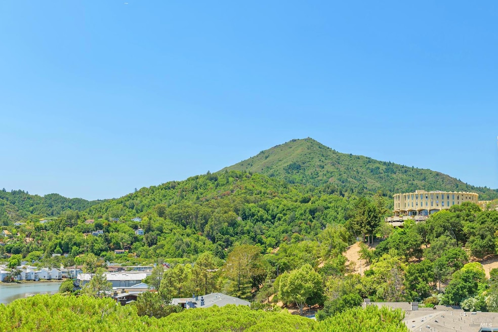 175 Upper Via Casitas unit 2, Greenbrae, CA 94904 - photo 1