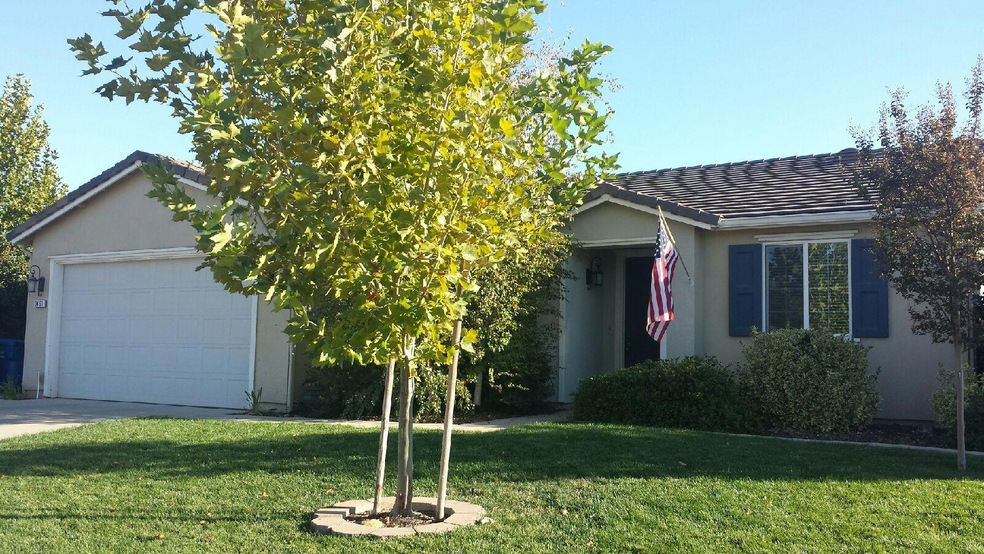 image1 (5)