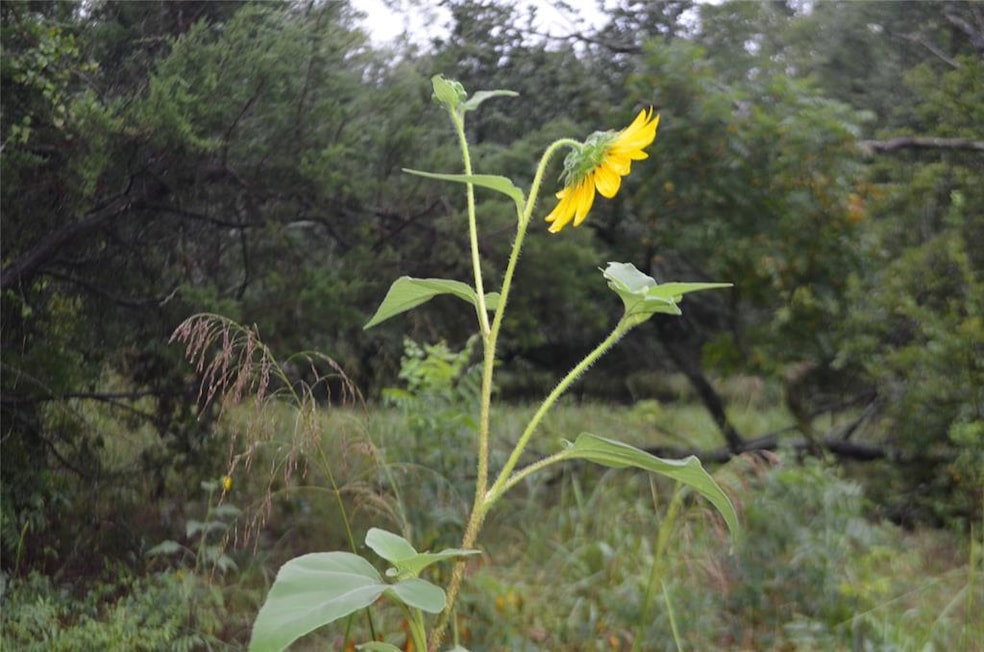 TBD Friendship Rd, Weatherford, TX 76085 - photo 1