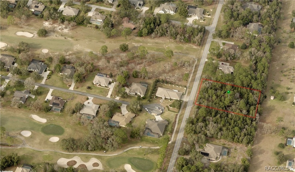 1217 N Annapolis Ave, Hernando, FL 34442 - photo 1