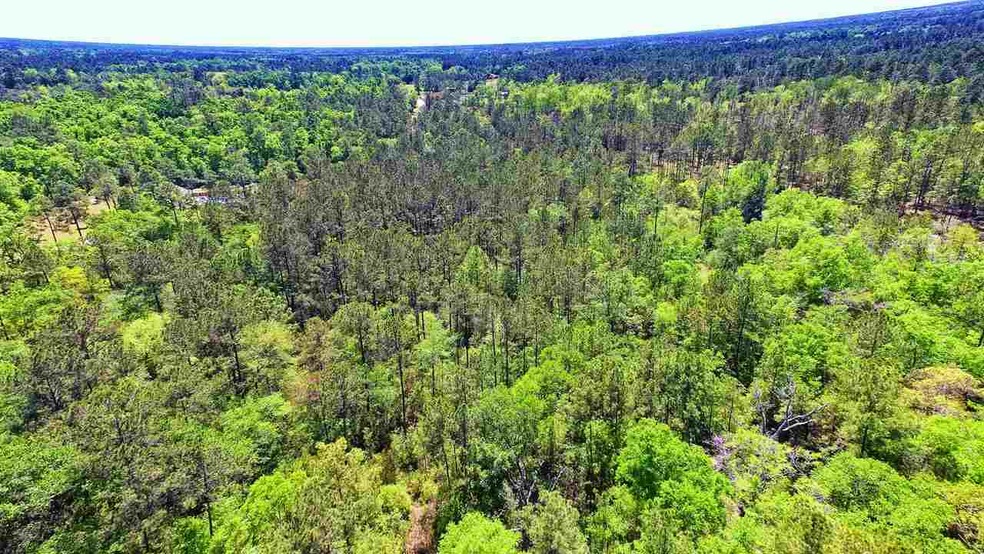 0 Bostic Pelt Rd unit 292682, Crawfordville, FL 32327 - photo 1