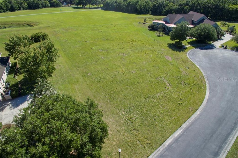 34050 Triple Crown Ct, Dade City, FL 33525 - photo 1